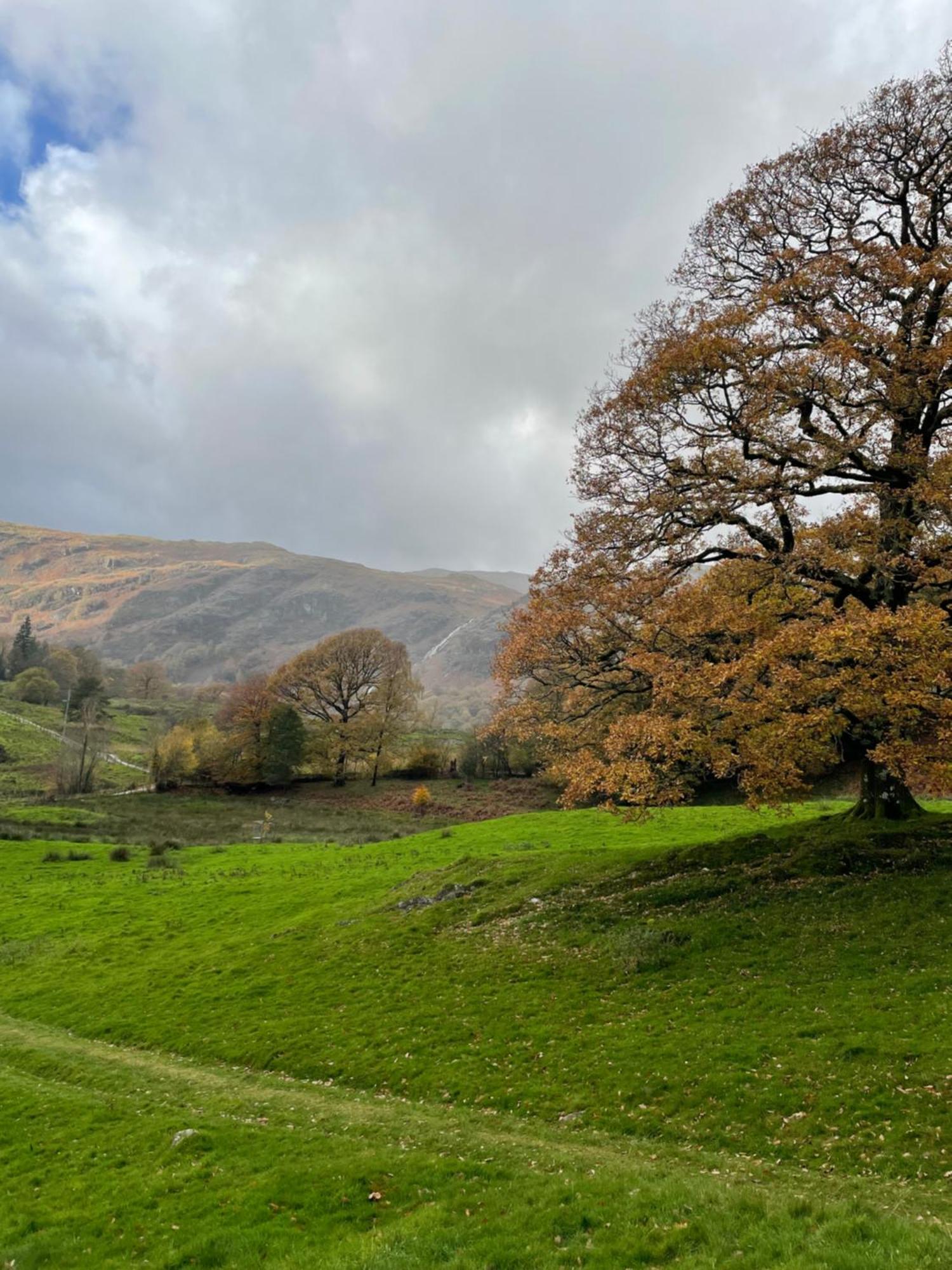 Grizedale View Lejlighed Coniston Eksteriør billede